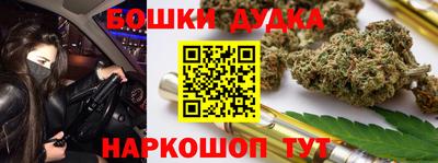 индика Можайск