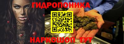 a pvp Можга
