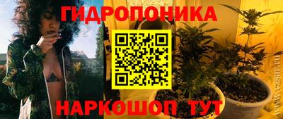 a pvp Можга