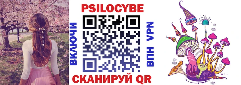 Псилоцибиновые грибы Psilocybine cubensis  Фрязино 