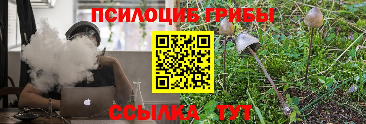 Фрязино  Галлюциногенные грибы Cubensis  Вход с VPN 